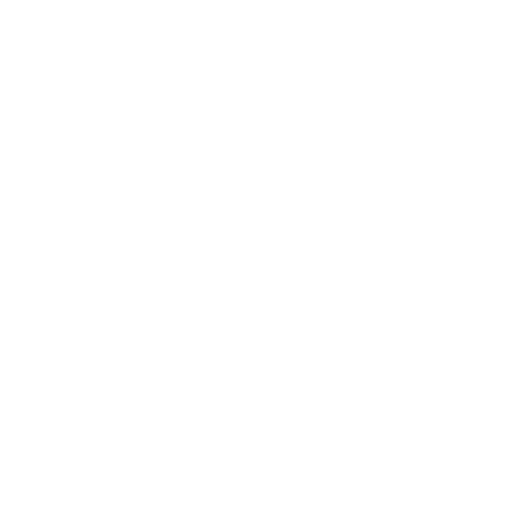 FS Logo